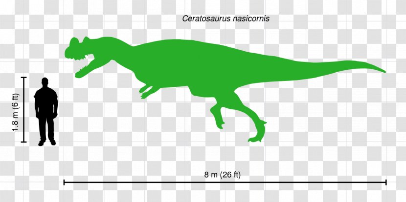Ceratosaurus Dilophosaurus Allosaurus Majungasaurus Morrison Formation - Green - Tall Vector Transparent PNG
