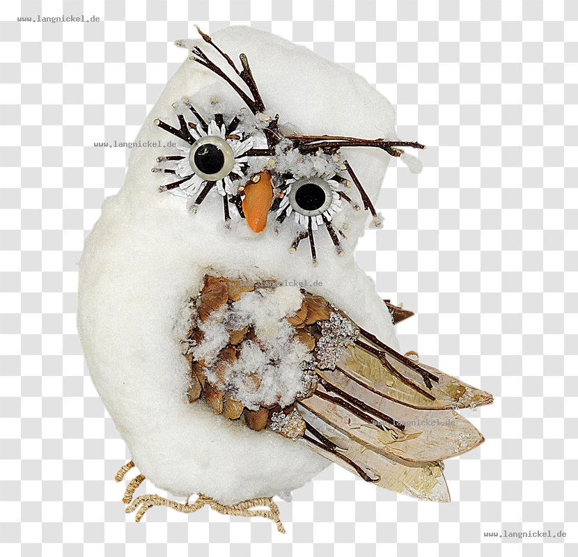 Owl Beak - Bird Of Prey Transparent PNG