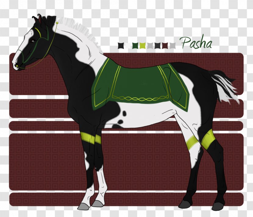 Stallion Pony Mare Colt Mustang Transparent PNG