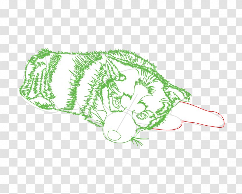 Carnivores Illustration Product Font Leaf - Character - Draw A Snow Leopard Transparent PNG
