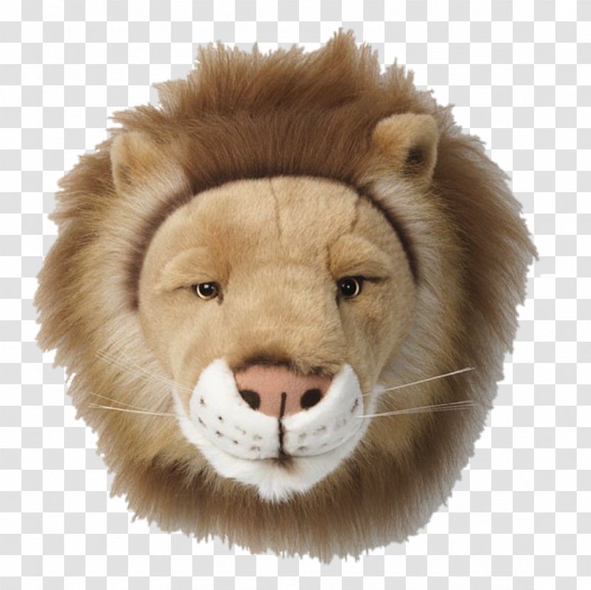 Vhs Management Consultancy Bvba Plush Stuffed Animals & Cuddly Toys Child Lion - Bedroom - Head Transparent PNG