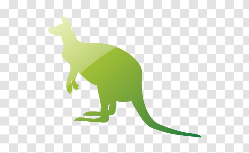 Macropods Kangaroo Clip Art Image Vector Graphics - Dinosaur Transparent PNG