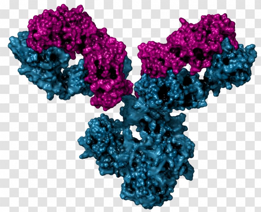 Monoclonal Antibody Immunoglobulin M B Cell - Frame - Irregular Lines Transparent PNG