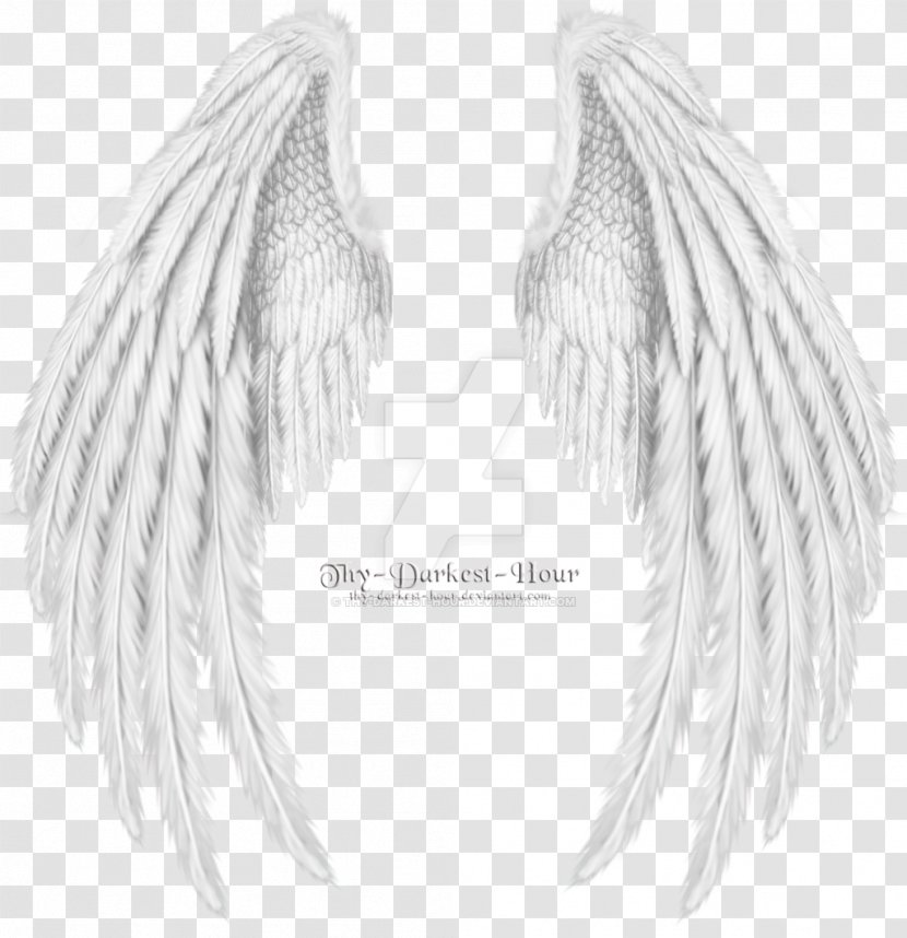 Drawing Angel Clip Art - Monochrome Photography - Wings Transparent PNG