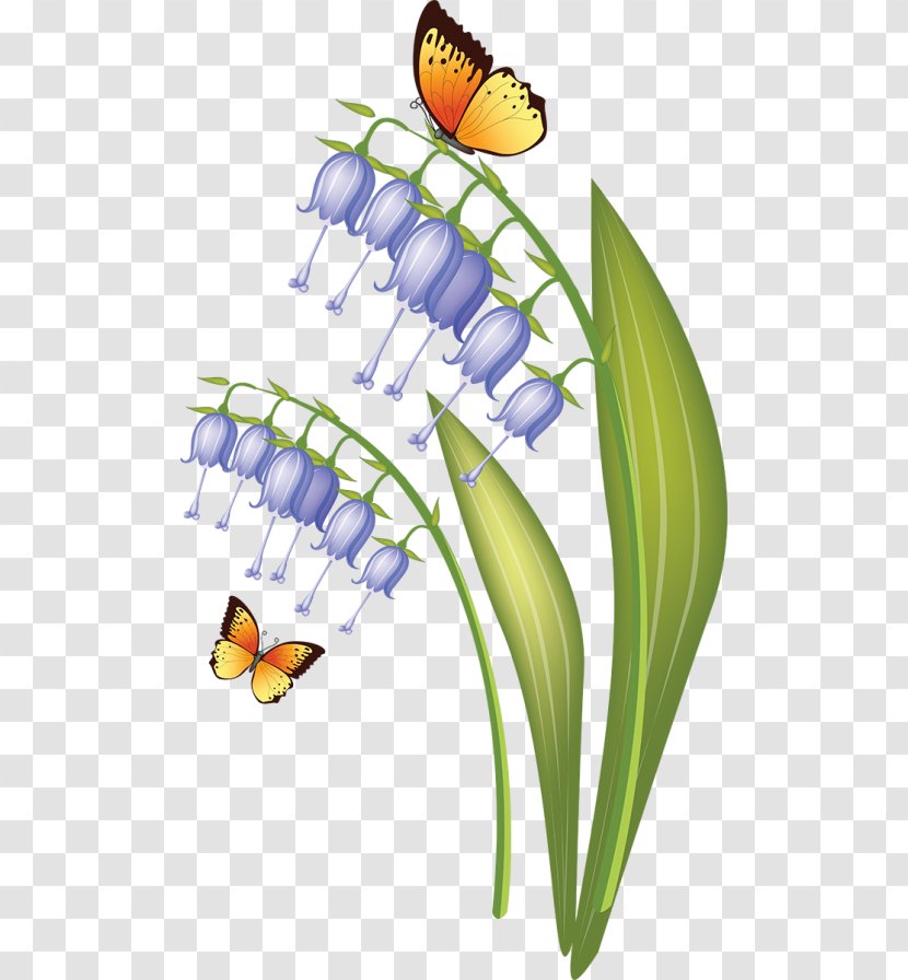 Monarch Butterfly Clip Art - Flowering Plant - Insect Transparent PNG