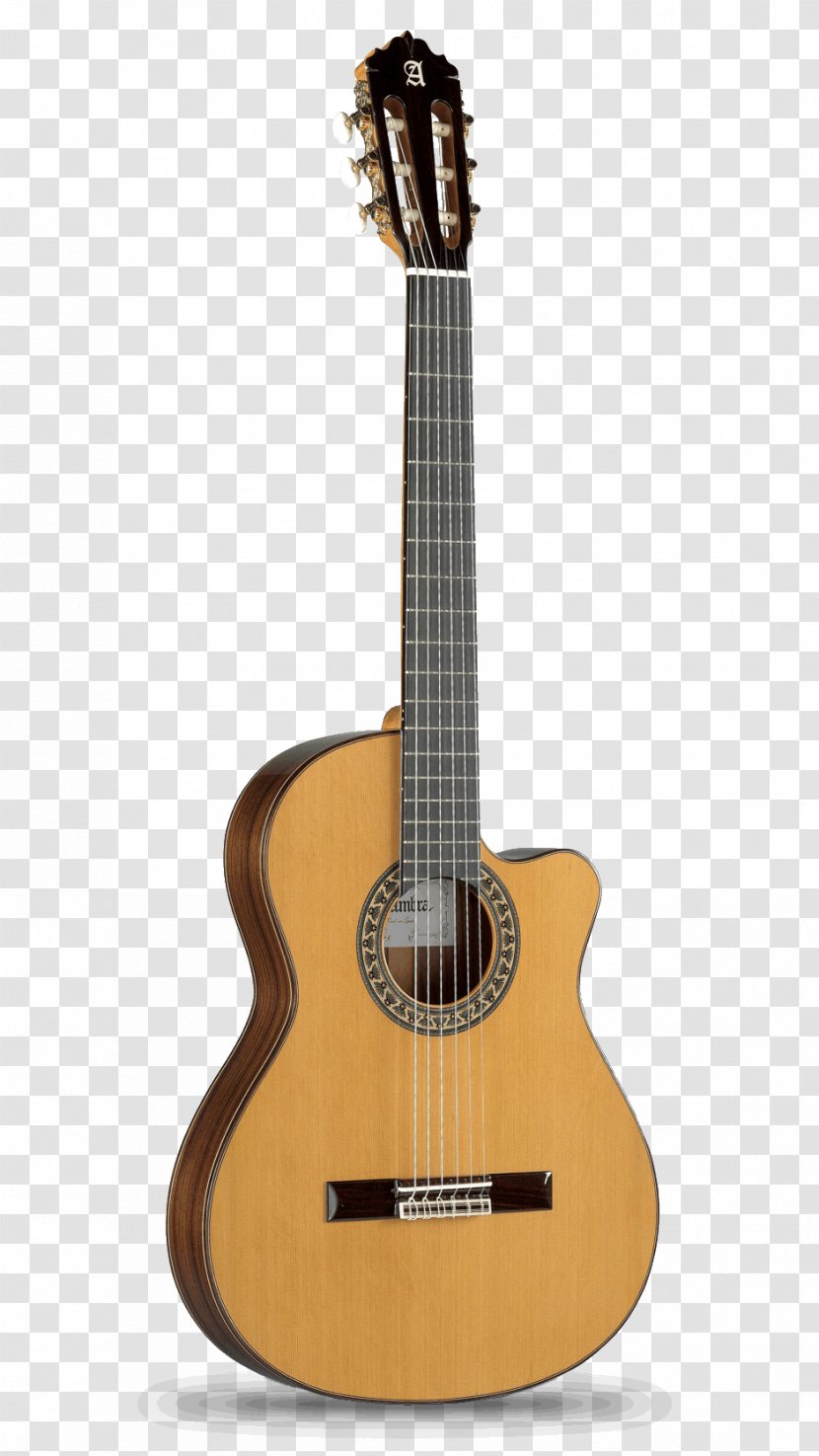 Alhambra Classical Guitar Acoustic Flamenco - Cartoon Transparent PNG