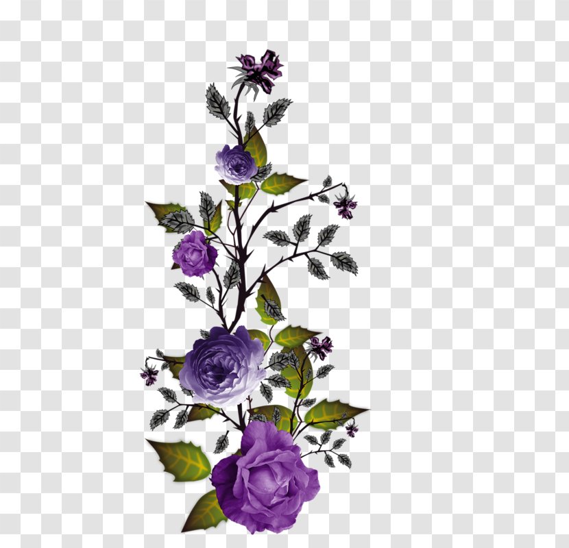 Floral Design Purple Clip Art - Rose Family Transparent PNG