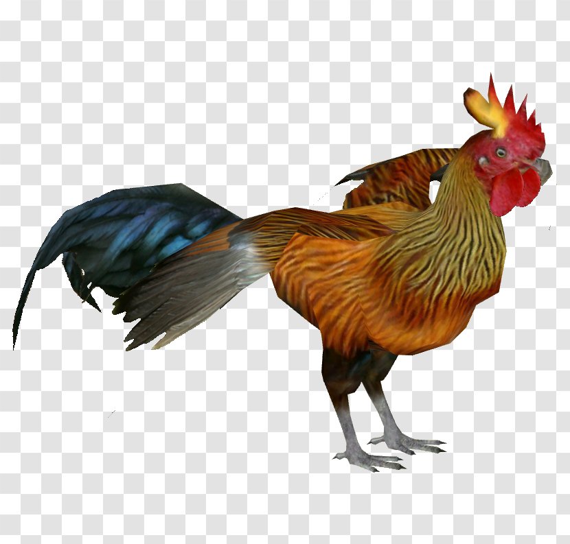 Rooster Sri Lankan Junglefowl Chicken - Bird Transparent PNG