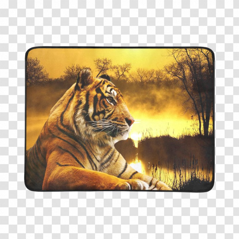 Lion Clemson University Tigers Football Cat Tiger Wallpapers - Beach Sunset Transparent PNG
