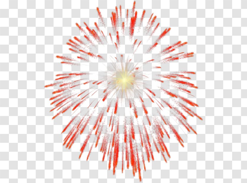 Fireworks Clip Art - Flowering Plant Transparent PNG