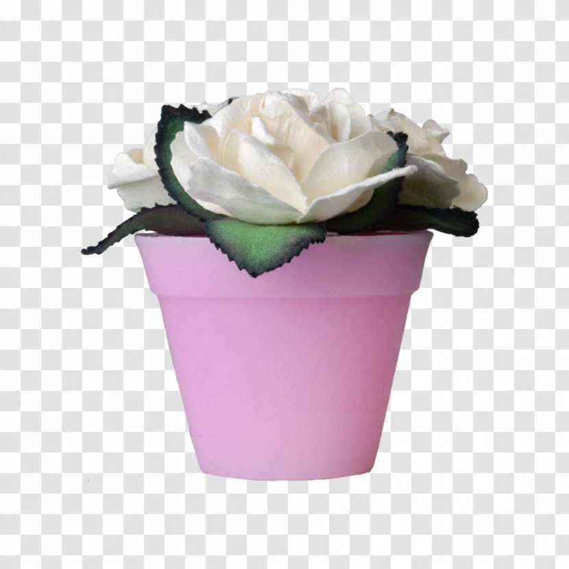 Cut Flowers Vase Flowerpot Rosaceae - Family - Rose Flower Pots Transparent PNG