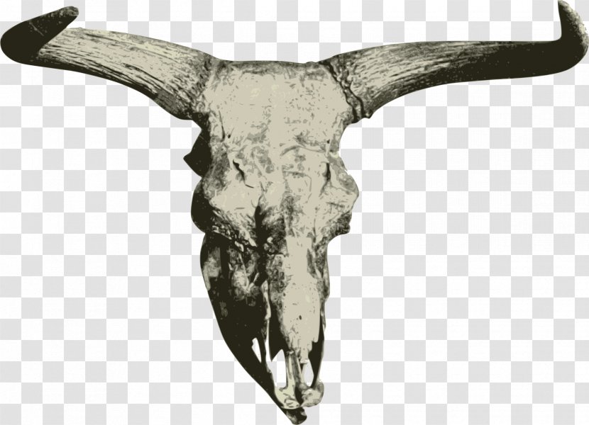 Heck Cattle Bison Bonasus Aurochs Steppe American Transparent PNG