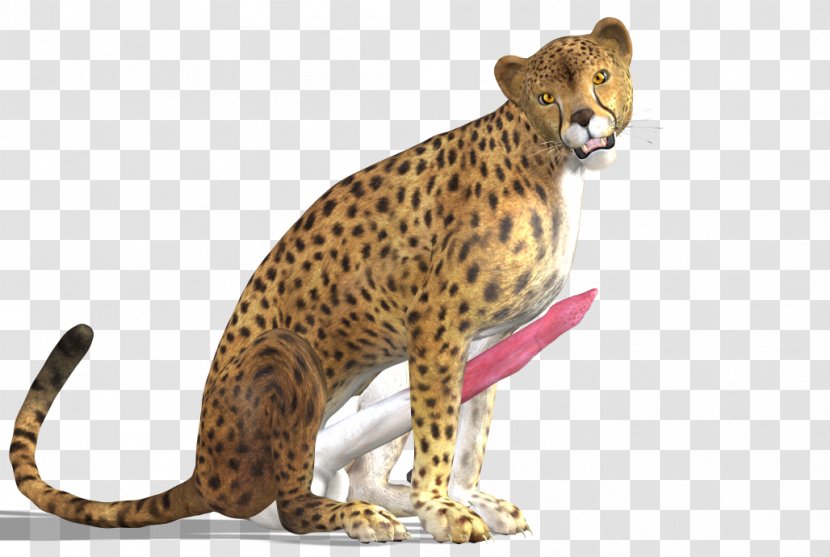 Cheetah Leopard Jaguar Transparent PNG