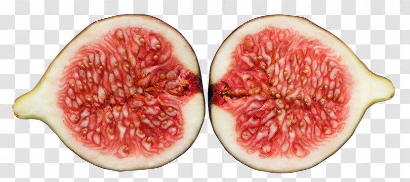 Watermelon Common Fig Guava Transparent PNG