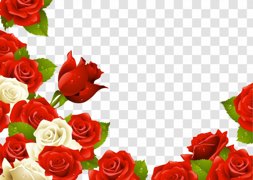 Rose Illustration - Floristry - Flower Bouquet Transparent PNG