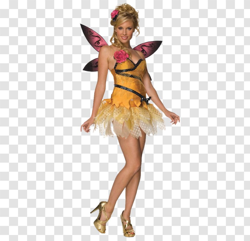Fairy Insect Costume Transparent PNG
