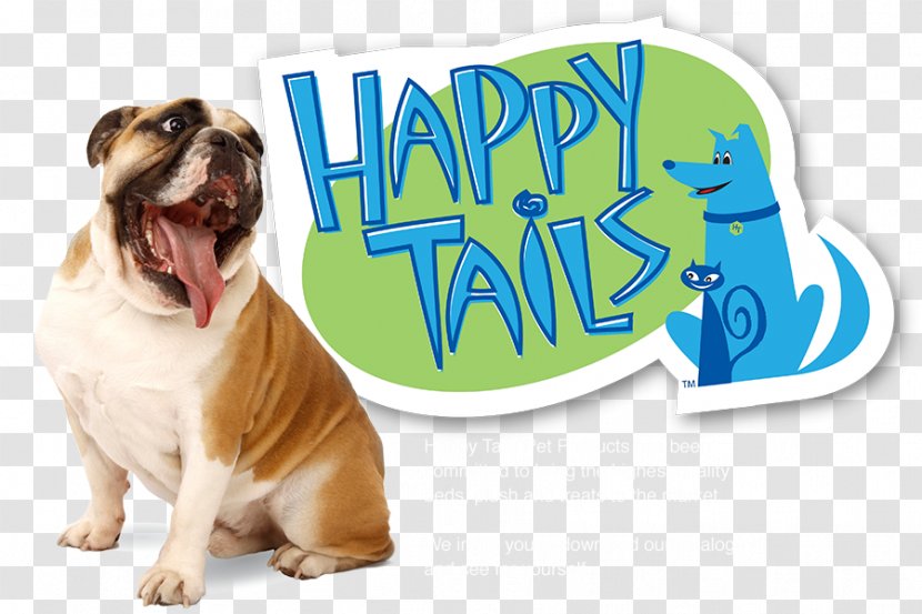 Bulldog Puppy Cat Pet Sitting Dog Breed Transparent PNG