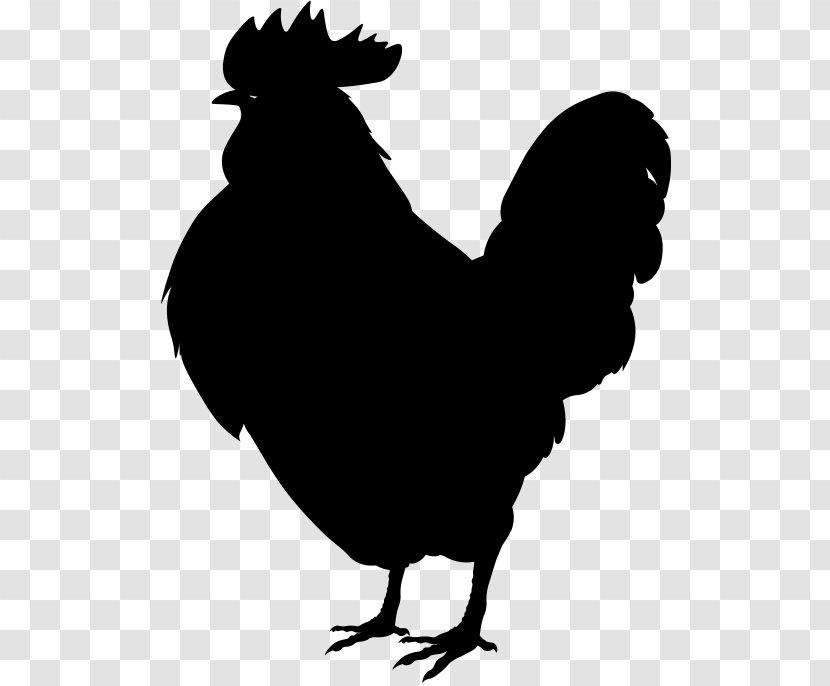 Rooster Leghorn Chicken Plymouth Rock Phoenix Rhode Island Red - White Transparent PNG