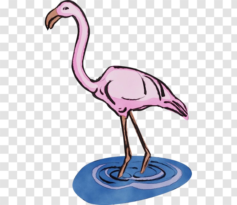Flamingo - Cranelike Bird - Animal Figure Transparent PNG