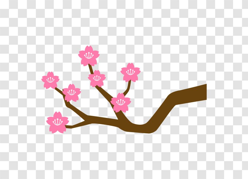 Cherry Blossom Branch Illustration Plants Clip Art - Flowering Plant Transparent PNG
