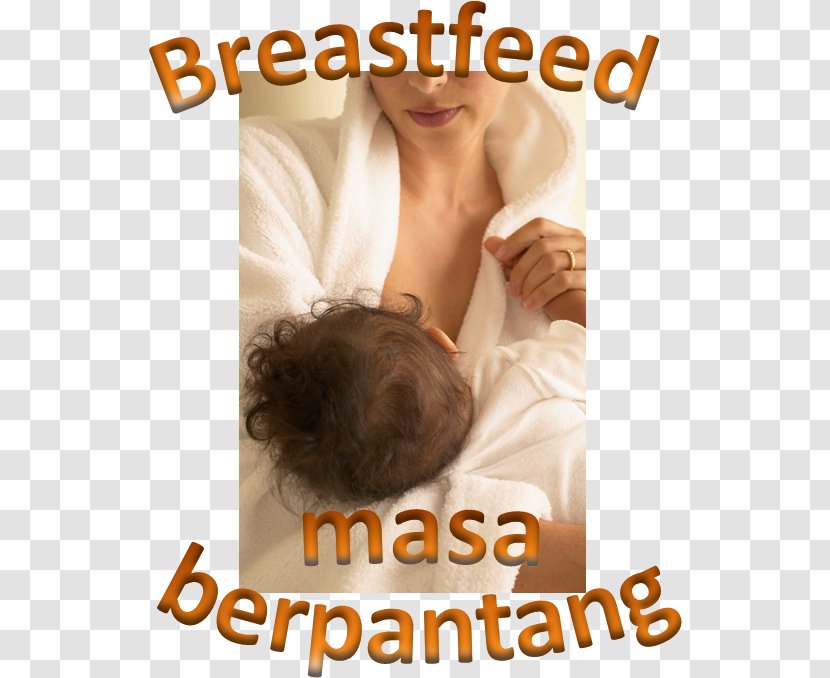 Milk Breastfeeding Omega-3 Fatty Acids Infant Nutrition Transparent PNG