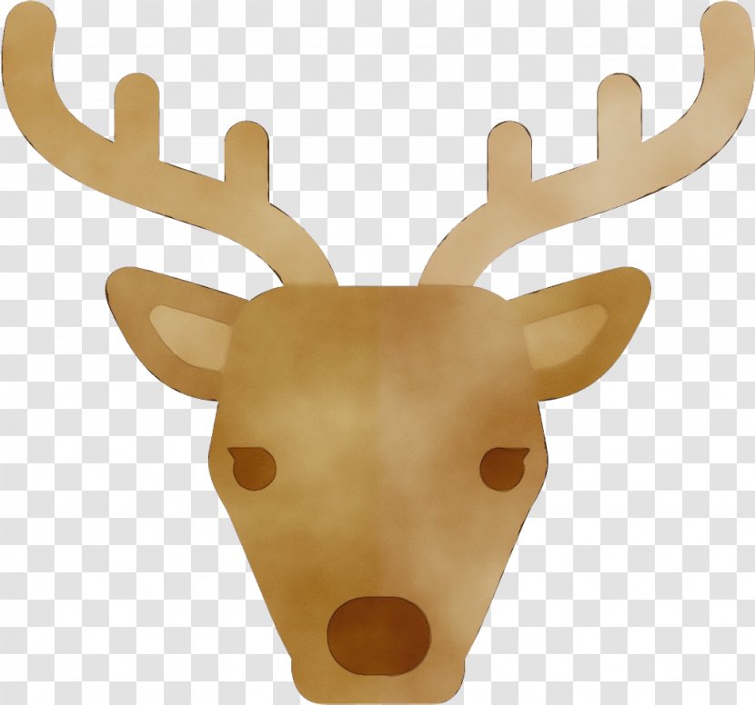 Reindeer - Fawn - Fur Transparent PNG