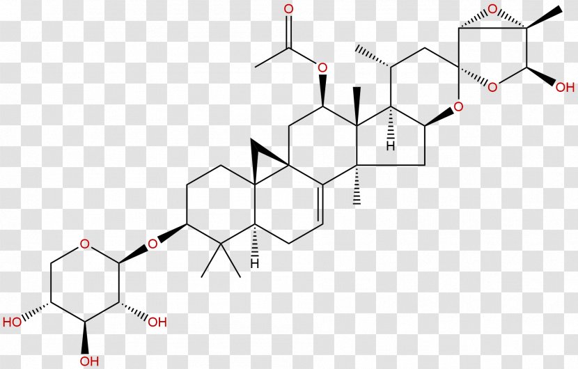 Ginsenoside Ginseng Chinese Herbology Chemical Compound Protopanaxatriol - Phytochemicals Transparent PNG