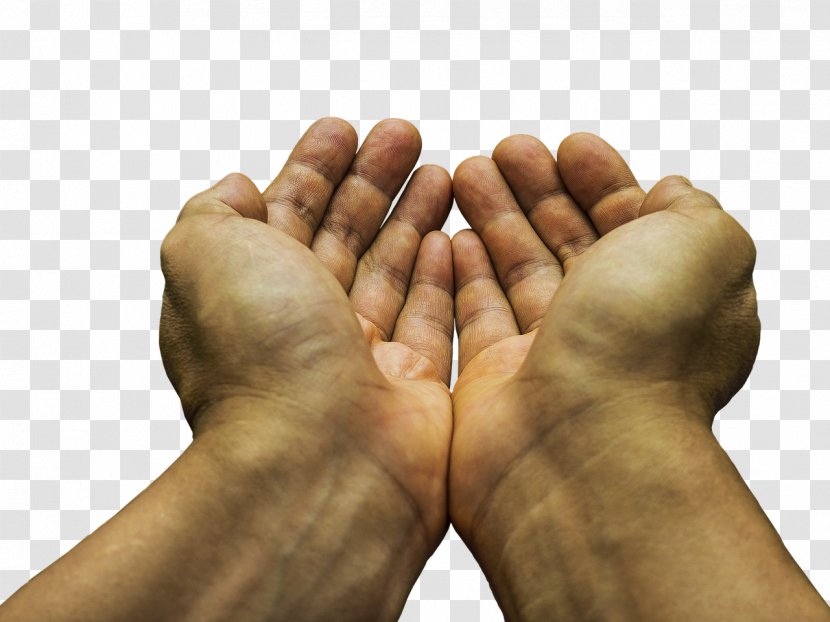 Begging Charity Homelessness Aggressive Panhandling Poverty - Finger - Hands Transparent PNG