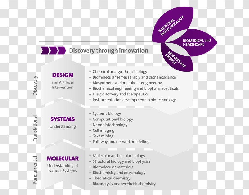 Innovation Research Funnel Chart Science Transparent PNG