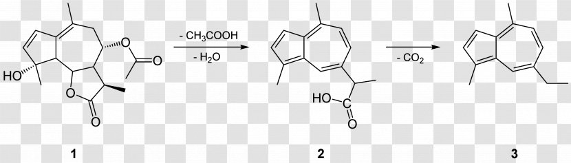 Chamazulene Matricin German Chamomile Bisabolol Sesquiterpene Lactone - Flower - Synthesis Transparent PNG