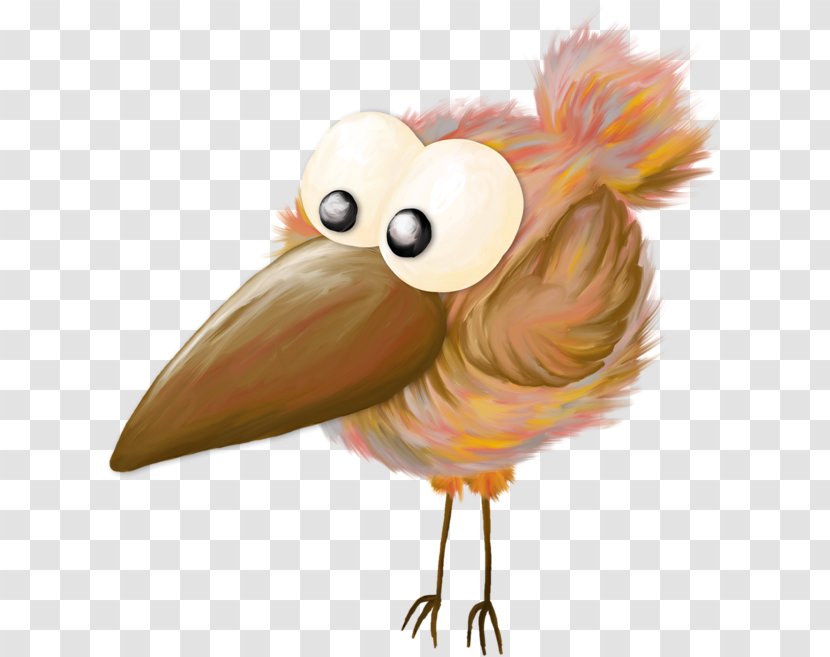 Chicken Cartoon Bird - Organism Transparent PNG