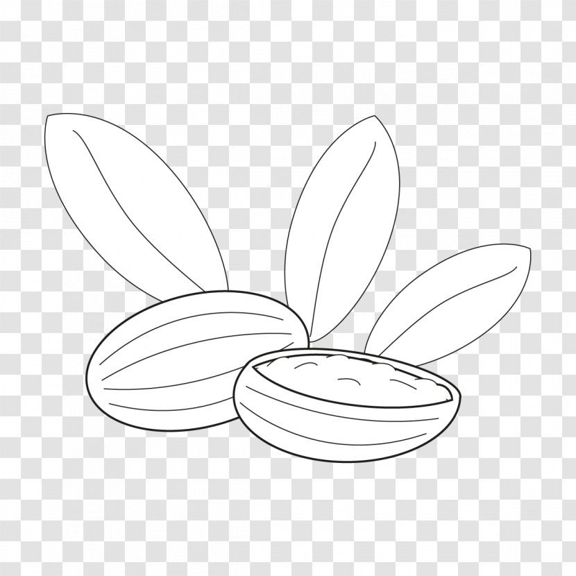 Butterfly /m/02csf Line Art Drawing Graphics Transparent PNG