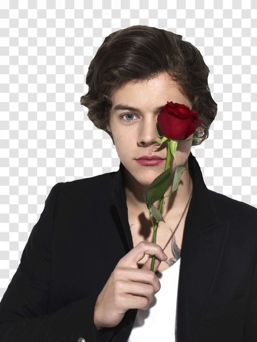 Harry Styles One Direction Beauty And The Beast YouTube - Watercolor Transparent PNG