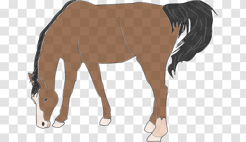 Belgian Horse Clip Art - Mule - Mare Transparent PNG