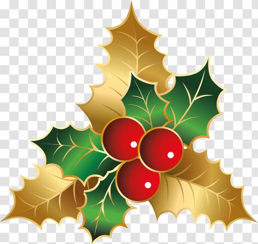 Holly Flower Christmas Day Aquifoliales - Aquifoliaceae - Colors Transparent PNG