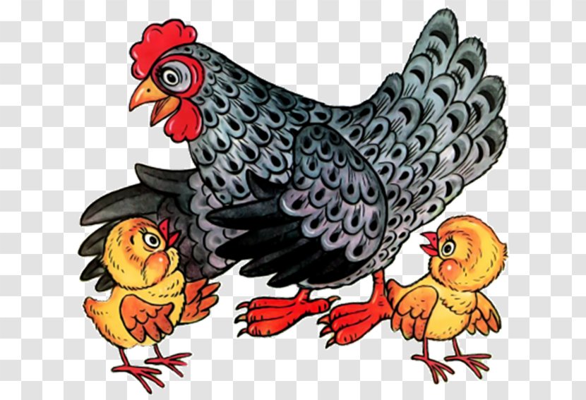 Rooster Chicken Hen And Chicks Clip Art - Cartoon Transparent PNG