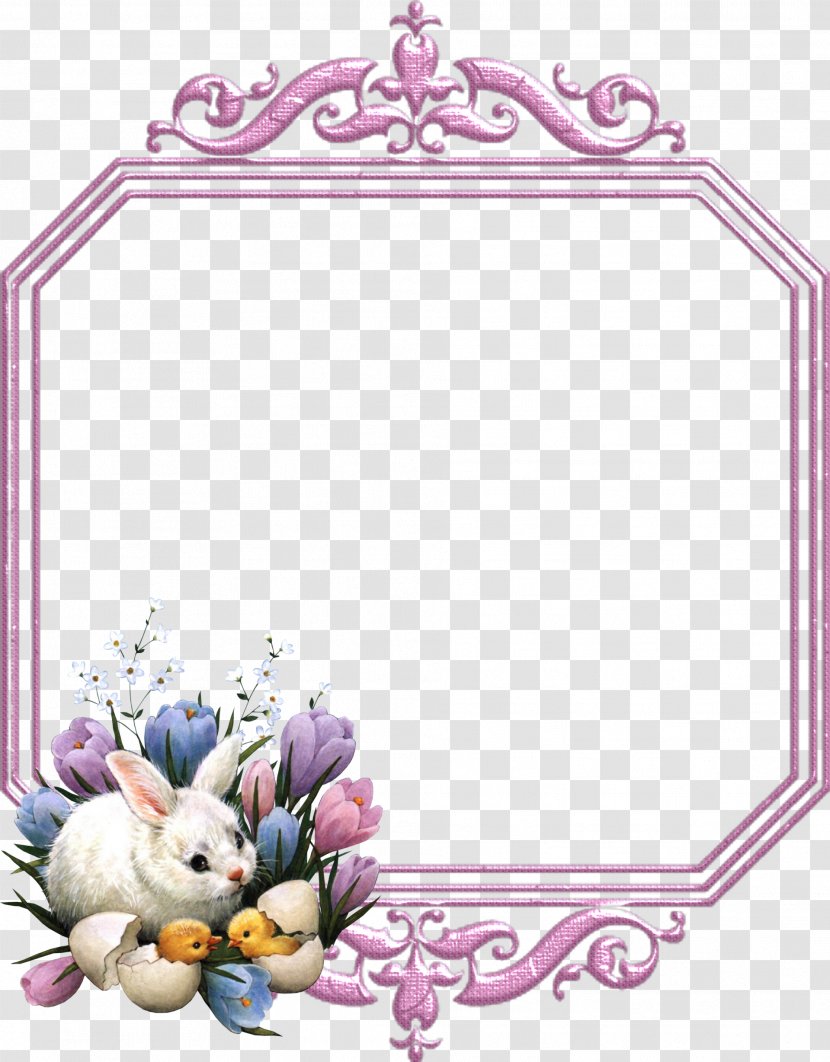 Easter Bunny Paper Sticker Holiday - Text - Frame Transparent PNG