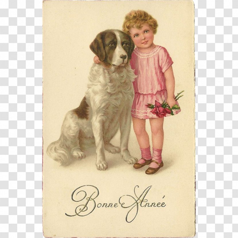 Pomeranian St. Bernard Puppy New Year Post Cards - Pet - Vintage Postcard Transparent PNG