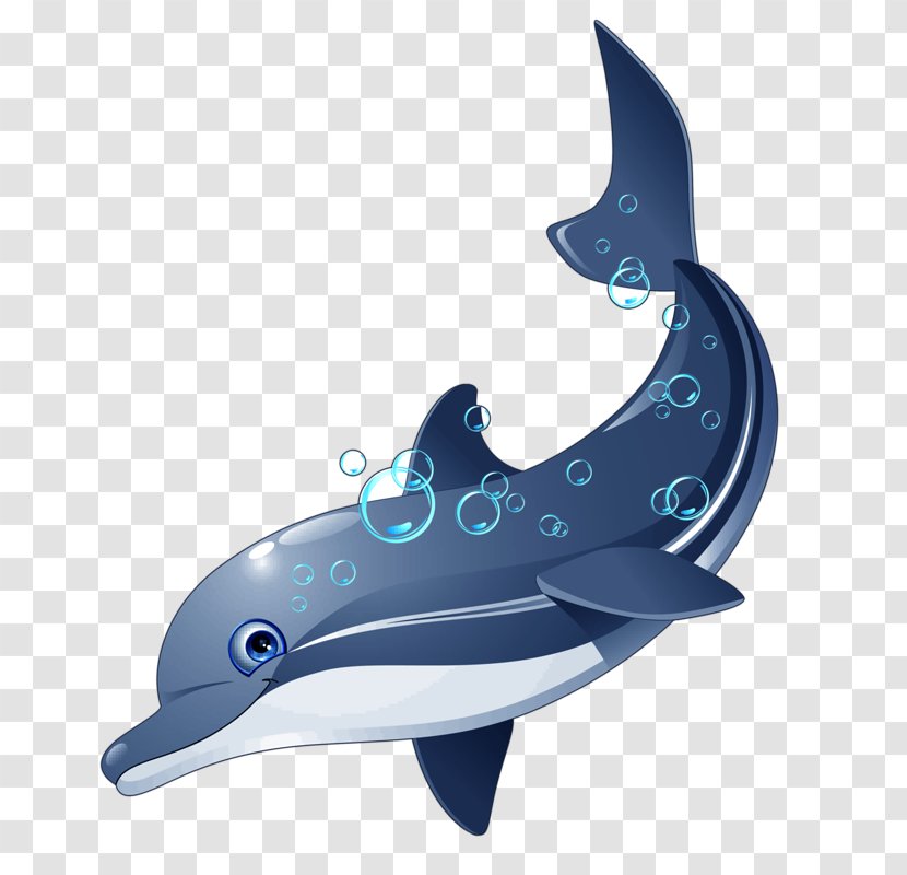Clip Art Dolphin Image Illustration Drawing - Tucuxi Transparent PNG