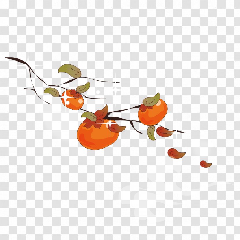 South Korea Cartoon Illustration - Persimmon Fruit Decorative Edge Transparent PNG