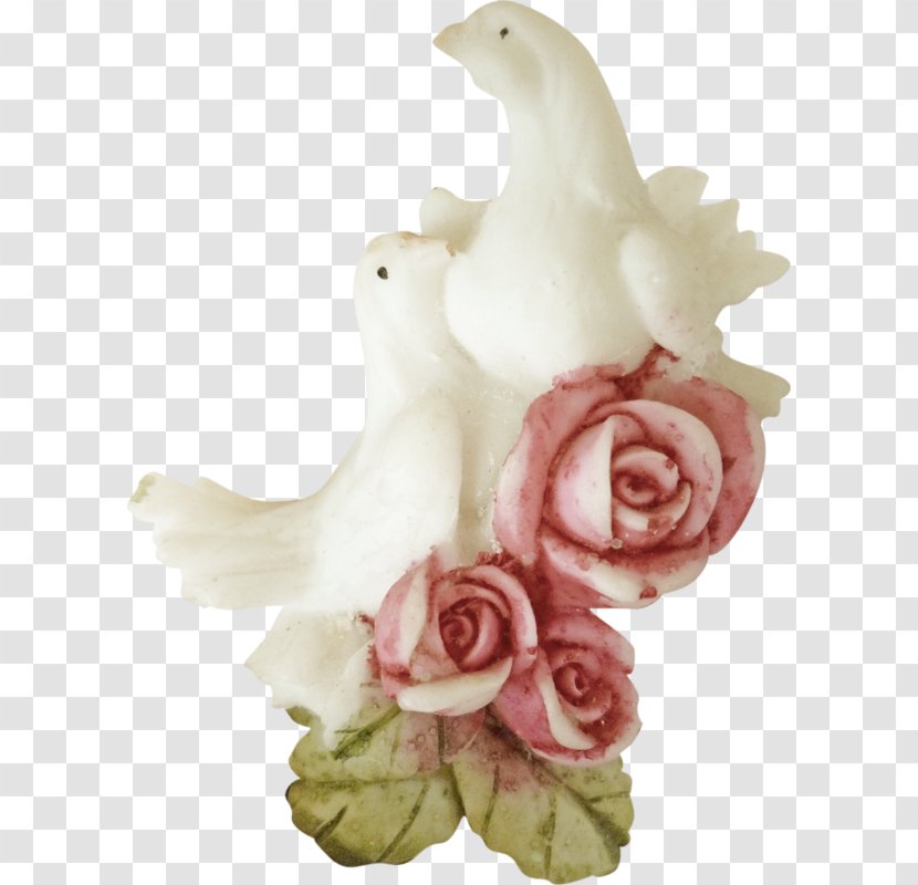 Homing Pigeon Columbidae Rose Bird - Petal - White Pink Roses Transparent PNG