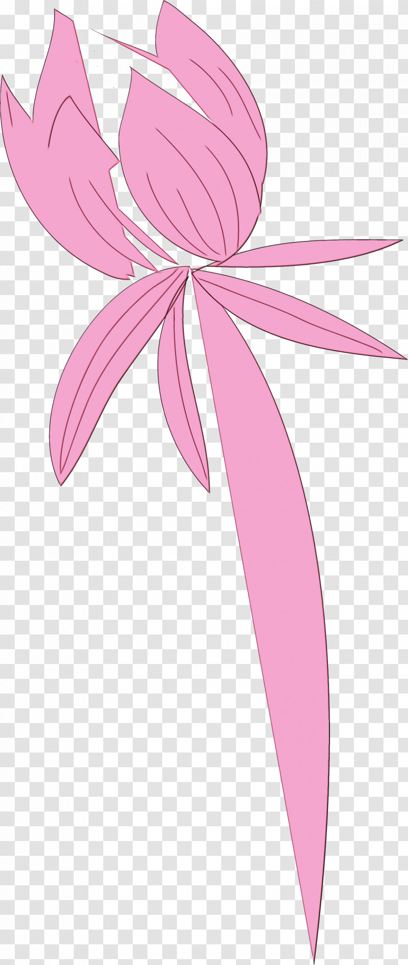 Pink M Fairy Line Flower Plants Transparent PNG