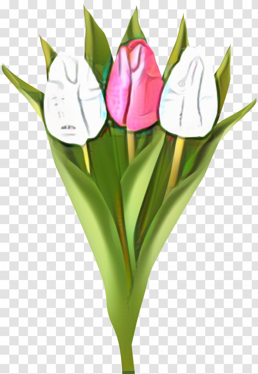 Indira Gandhi Memorial Tulip Garden Clip Art Cut Flowers - Floristry - Petal Transparent PNG