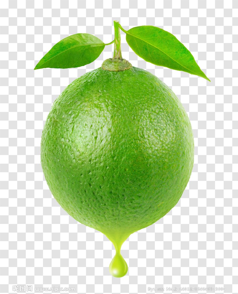Juice Cocktail Margarita Lemon Lime - Sweet - Tree Transparent PNG