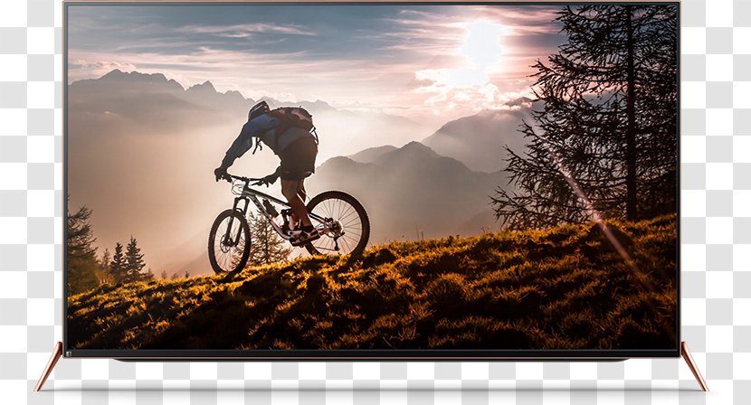 Downhill Mountain Biking Bicycle Bike Cycling Transparent PNG