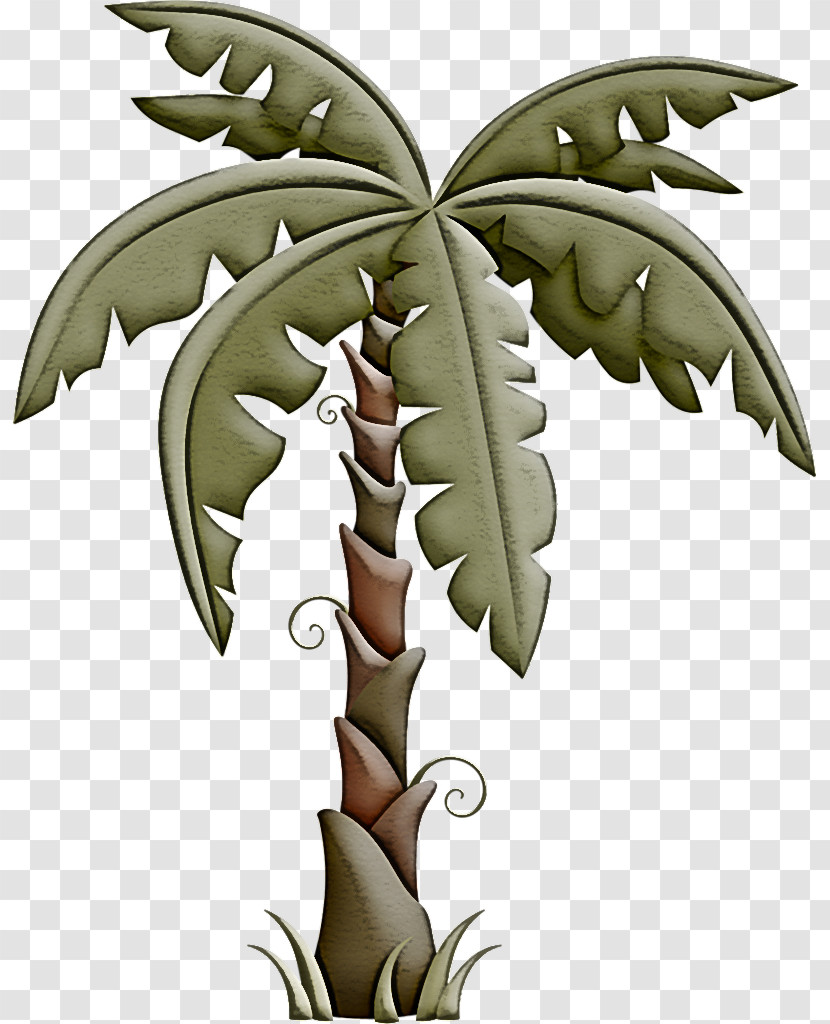 Palm Tree Transparent PNG