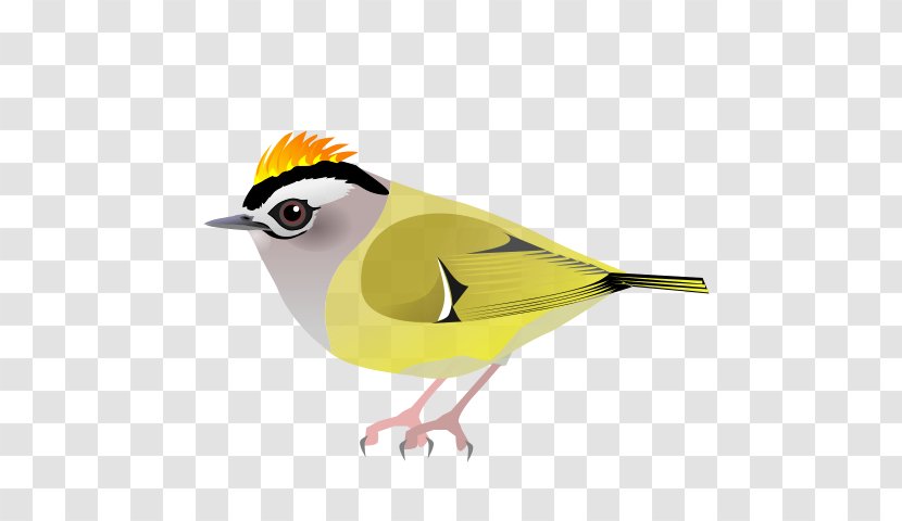 Finches Lark Old World Clip Art - Good Thumbs Transparent PNG