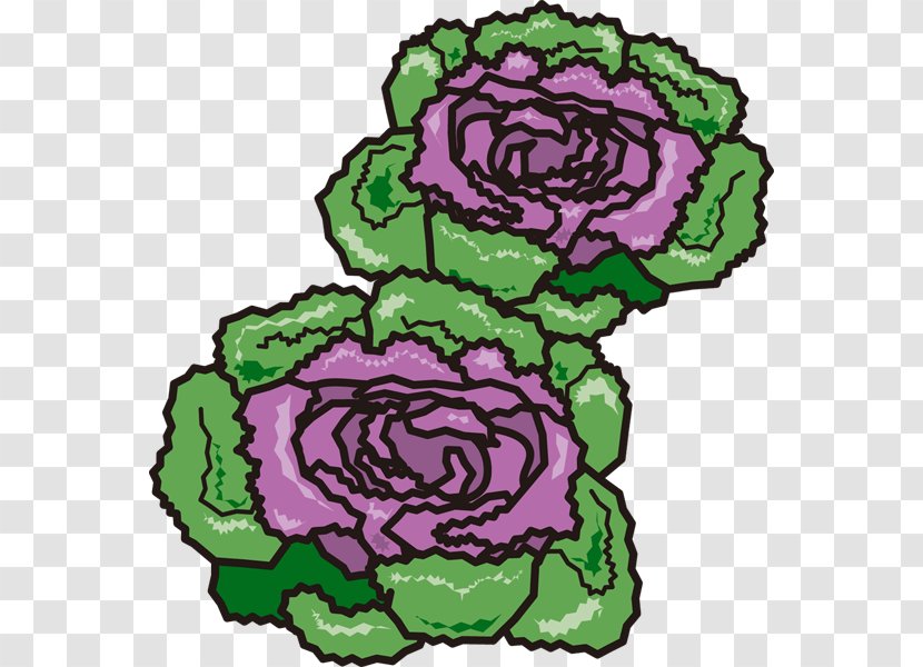 Floral Design Brassica Oleracea Var. Acephala Clip Art Illustration Cut Flowers - Var - Rose Transparent PNG