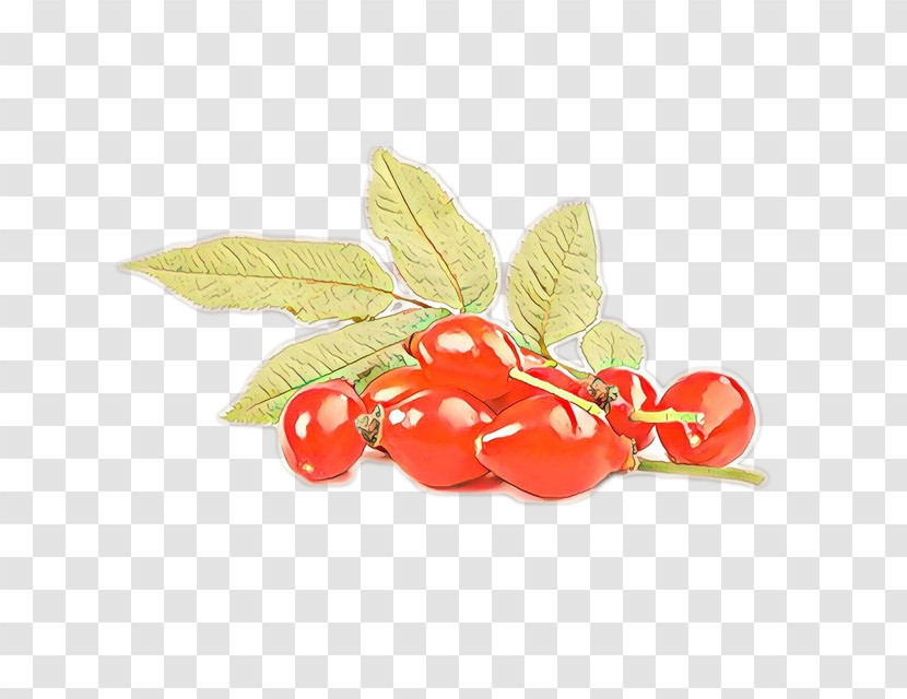 Plant Leaf Fruit Flower Food Transparent PNG