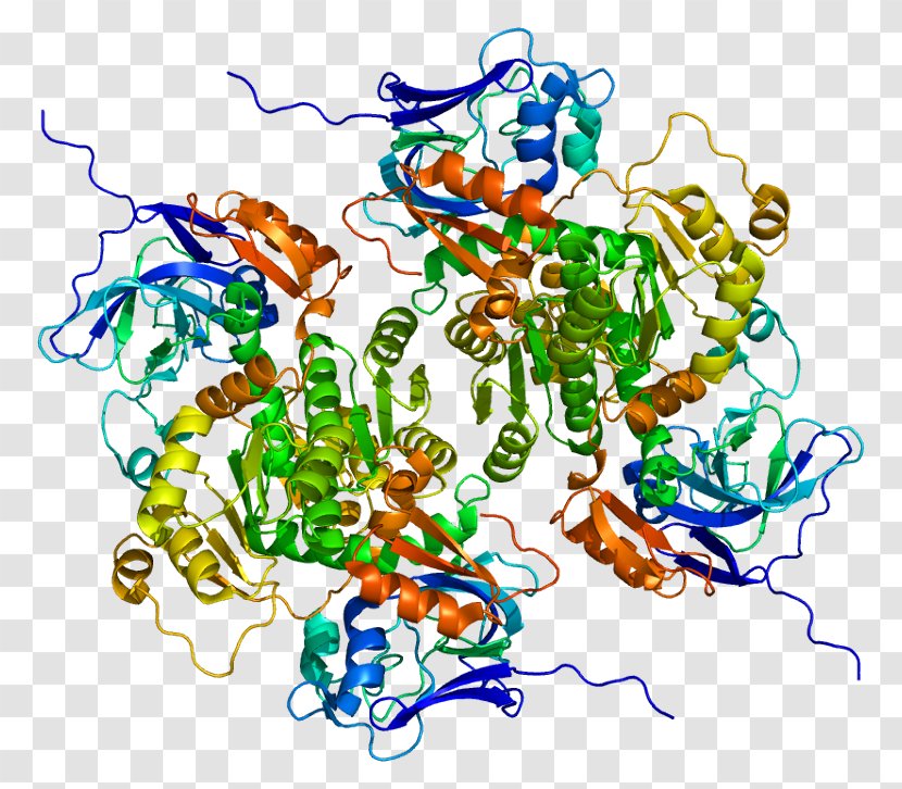 Wikipedia Sorbitol Dehydrogenase Free Content Sord M5 - Creative Commons - Glucose6phosphate Deficiency Transparent PNG